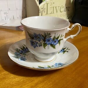 Queen Anne Bone China Tea Cup and Saucer